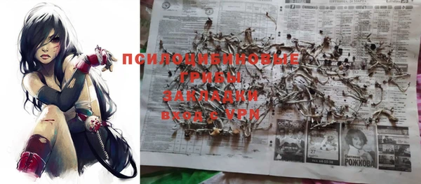 винт Абинск