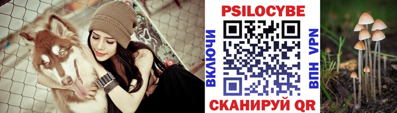 Галлюциногенные грибы Psilocybine cubensis  где продают наркотики  Аксай 